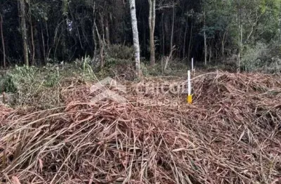 Terreno à venda no Taipas De Pedras (Mailasqui), São Roque 