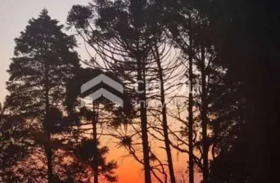 Casa com 6 quartos à venda na Vila Darcy Penteado (Mailasqui), São Roque 