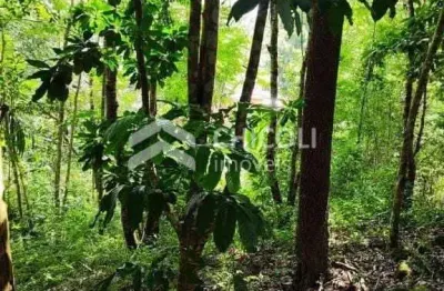 Terreno à venda no Centro, Vargem Grande Paulista 