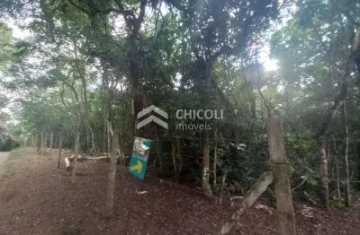 Terreno à venda no Água Espraiada (Caucaia do Alto), Cotia 