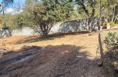 Excelente lote, murado, pés de fruta, ótima vizinhança