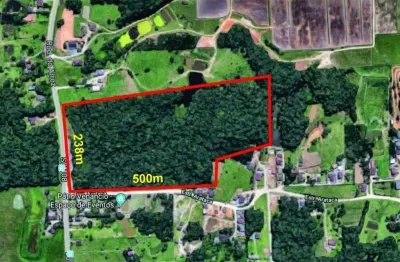 Terreno no vila nova com 0 quartos para venda, 104250 m²