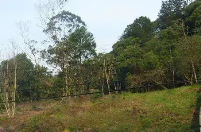 Terreno no anita garibaldi com 0 quartos para venda, 1260 m²