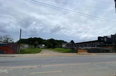 Terreno no anita garibaldi com 0 quartos para venda, 1220 m²