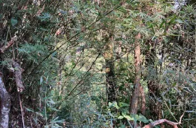 Oportunidade única em embu das artes - sp | tipo: terreno | negociação: venda direta online  | situação: imóvel