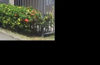 Oportunidade única em rio de janeiro - rj | tipo: apartamento | negociação: venda online  | situação: imóvel