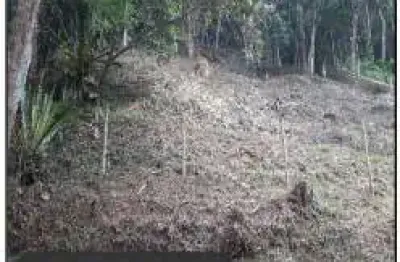 Oportunidade única em teresopolis - rj | tipo: terreno | negociação: leilão  | situação: imóvel