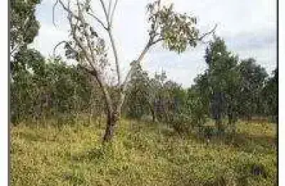 Oportunidade única em luziania - go | tipo: terreno | negociação: venda direta online  | situação: imóvel