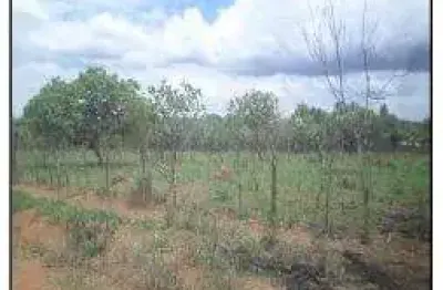 Oportunidade única em luziania - go | tipo: terreno | negociação: venda direta online  | situação: imóvel