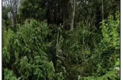 Oportunidade Única em NOVA FRIBURGO - RJ | Tipo: Terreno | Negociação: Venda Online  | Situação: Imóvel