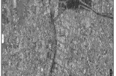 Oportunidade Única em SAO GONCALO - RJ | Tipo: Casa | Negociação: Venda Direta Online  | Situação: Imóvel