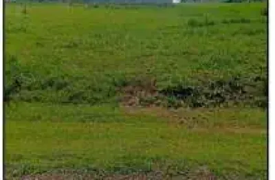 Oportunidade Única em IACANGA - SP | Tipo: Terreno | Negociação: Leilão  | Situação: Imóvel