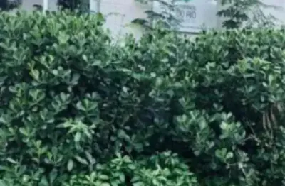 Oportunidade Única em MESQUITA - RJ | Tipo: Apartamento | Negociação: Leilão  | Situação: Imóvel