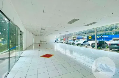 Loja térrea para alugar, 800 m² - ponta aguda - blumenau/sc