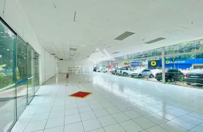 Loja térrea para alugar, 800 m² - ponta aguda - blumenau/sc