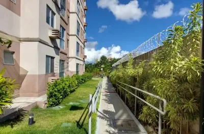 Oportunidade apartamento 2 quartos, 45m, 6º andar no monteville  em tejipió