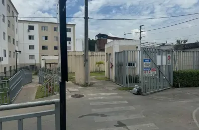 Oportunidade! apartamento 2 quartos no parque das rosas – tejipió