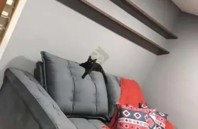 Apartamento padrão para locação no bairro jardim josé sampaio júnior, em ribeirão preto