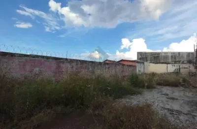 Terreno misto para locação no bairro campos elíseos, em ribeirão preto