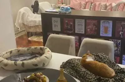 Apartamento com 3 quartos à venda na Avenida Paes de Barros, 701, Mooca, São Paulo