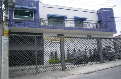 Galpão / depósito / armazém - vila esperança  -  são paulo