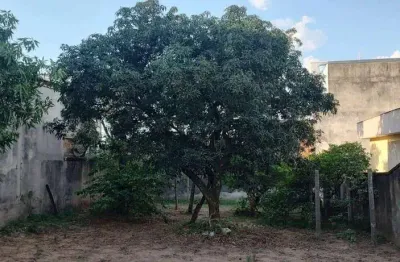 Terreno à venda no Novo Glória, Belo Horizonte 