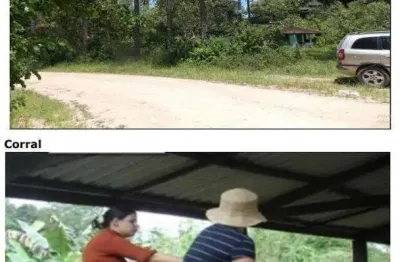 Sítio para investimento à venda em juquiá – interior de sp por- r$ 778.500,00