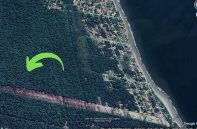 Terreno localizado na rua cangatu n°1069, no balneário rosa dos ventos, com vegetação.