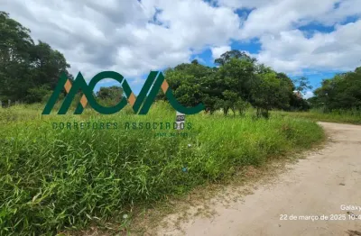 Terreno com pouca vegetação, perto da praia! apenas 250 metros do mar!