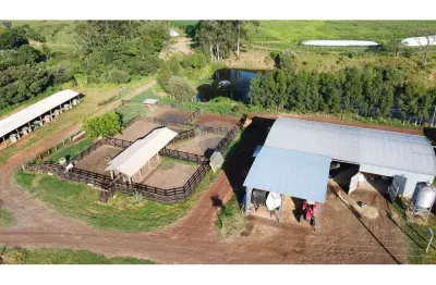 Ótima fazenda 212 hectares para leite e corte em brotas - sp - porteira fechada