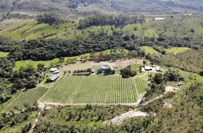 Vinícola exclusiva à venda na serra da canastra – uma joia rara para investidores e amantes do enoturismo!