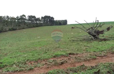 Fazenda em aiuruoca-mg com eucalipto, pasto e compensação 302 ha – r$ 6,2 mi