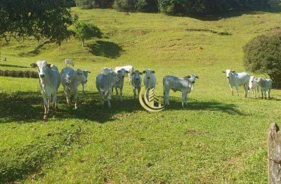 Fazenda com 4 dormitórios à venda, 1064800 m² por r$ 2.800.000,00 - macuco - taubaté/sp