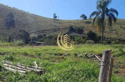 Terreno à venda, 3600 m² por r$ 230.000,00 - centro - bananal/sp