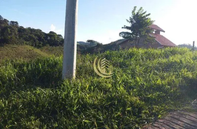 Terreno à venda, 2550 m² por r$ 230.000,00 - rio preto - santo antônio do pinhal/sp