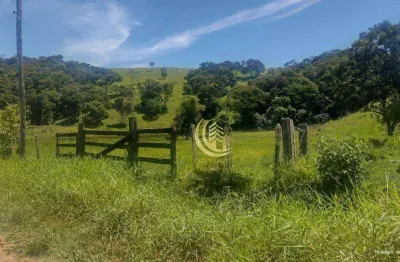 Terreno à venda, 3 m² por r$ 420.000,00 - pinhão do borba - pindamonhangaba/sp