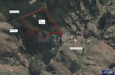 Vende-se aréa de  7 alqueires divisa com santo antonio do pinhal