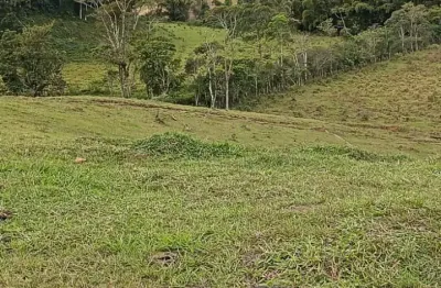 Chácara / sítio com 5 quartos à venda na Área Rural, Área Rural de Camboriú, Camboriú