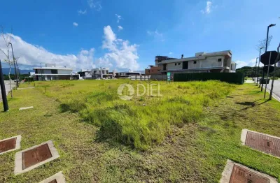 Terreno à venda na Avenida Violeta, 0101, Jardim Dourado, Porto Belo