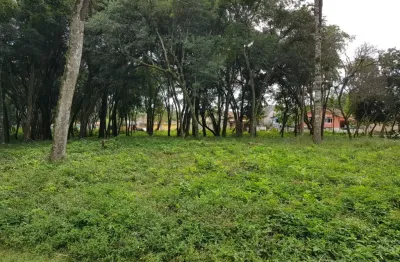 Terreno à venda na Avenida Principal, Centro, Lapa