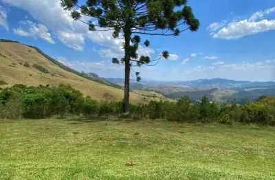 Fantástico sítio a venda com 29 alqueires em piracaia