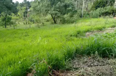Terreno à venda na Alameda Estados Unidos da América, 0, Olho D'Água, Mairiporã