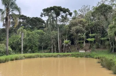 Chácara para venda em tijucas do sul, campina do rincão, 4 dormitórios, 1 suíte, 3 banheiros