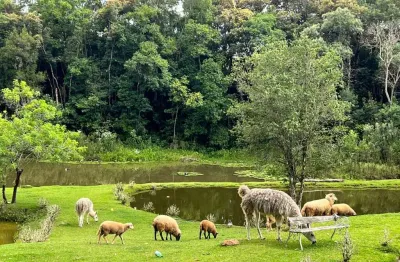 Chácara / sítio à venda na Estrada Rural, Areia Branca dos Assis, Mandirituba