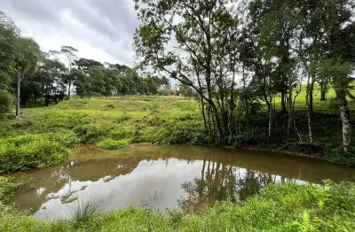 Chácara / sítio à venda na Estrada Rural, Zona Rural, Mandirituba