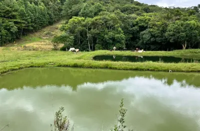 Chácara / sítio à venda na BR 376, Matulão, Tijucas do Sul