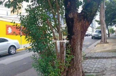 Terreno à venda, 400 m² por r$ 1.320.000,00 - vila gilda - santo andré/sp