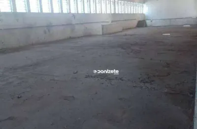 Galpão para alugar, 650 m² por r$ 22.500,00/mês - jardim jamaica - santo andré/sp