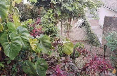 Terreno à venda, 291 m² por r$ 680.000,00 - vila curuçá - santo andré/sp