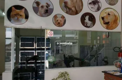 Banho e tosa e pet shop a venda no bairro taboão em são bernardo do campo